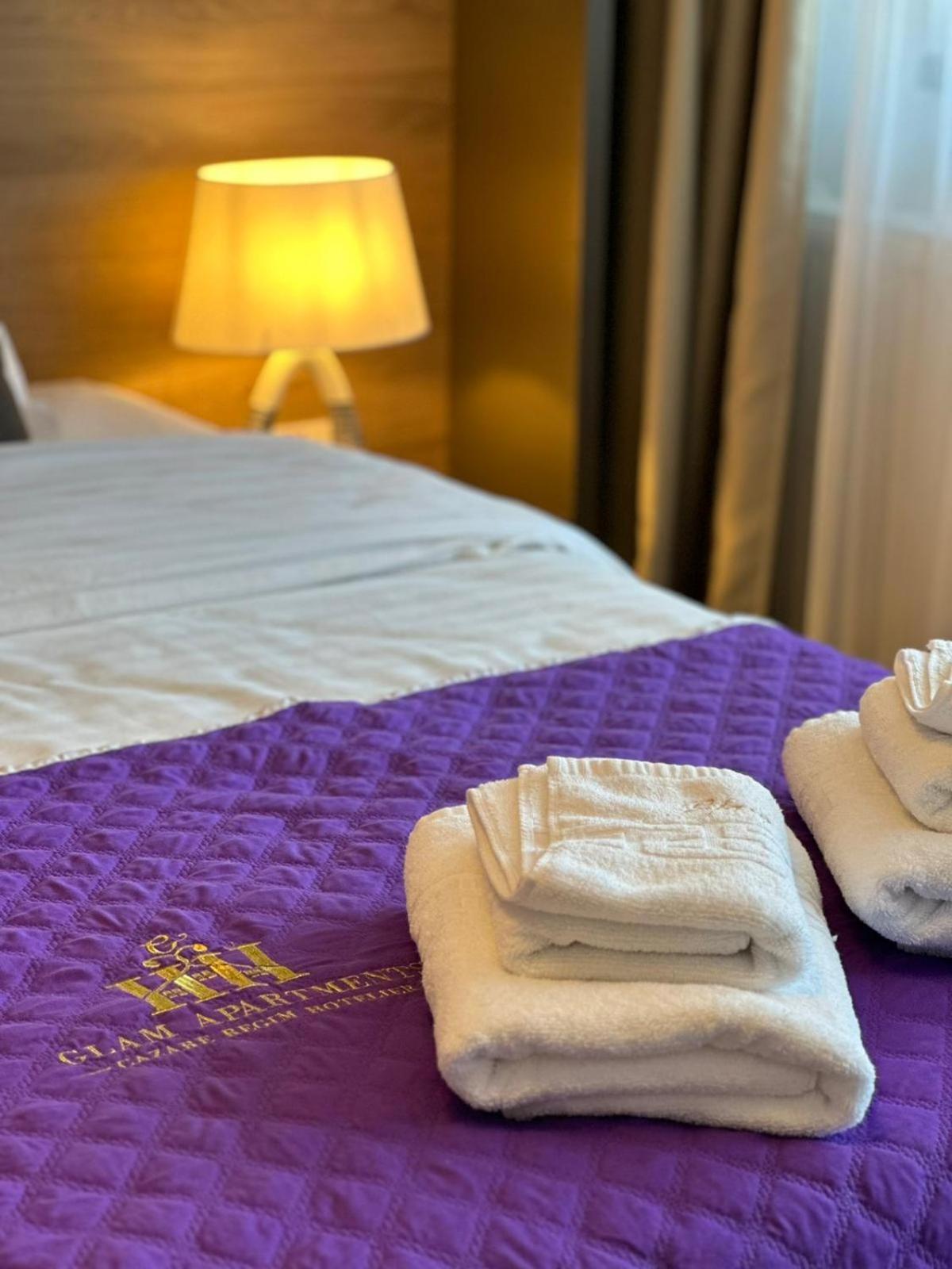 Luxury Glam Apartments & Studios Near Coresi Mall Braşov Dış mekan fotoğraf